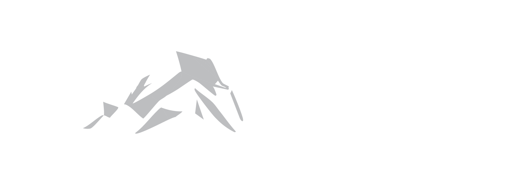 Emblem