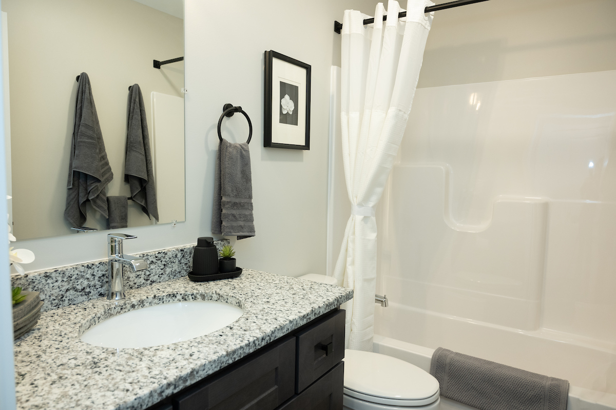Boulder Way Downstairs Full Bathroom